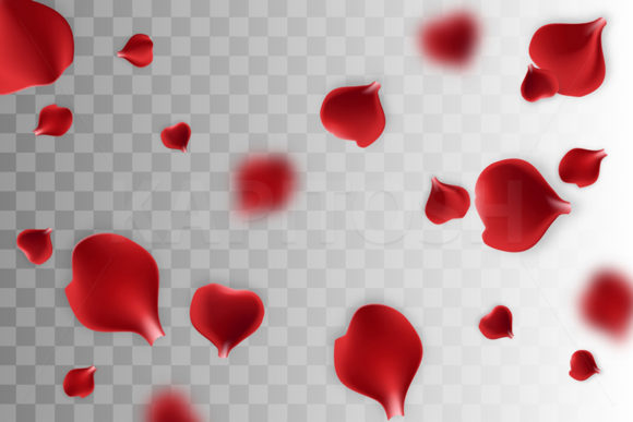 Download Falling Rose Petals on Transparent Back - Falling Collection